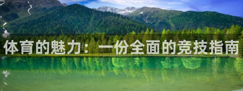 3377体育中国官方网站入口：体育的魅力：一份全面的竞技指南
