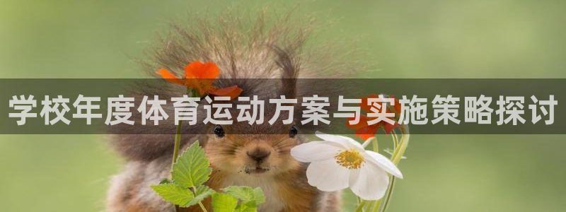 3377体育网页登录入口：学校年度体育运动方案与实施策略探讨
