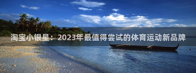 3377体育在线登录官网入口：淘宝小银星：2023年最值得尝试的体育运动新品牌