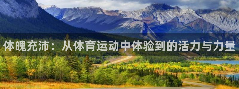 3377体育官网：体魄充沛：从体育运动中体验到的活力与力量