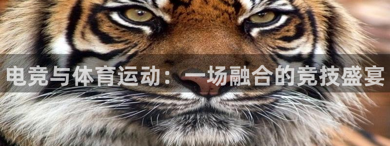 3377体育官网入口下载最新：电竞与体育运动：一场融合的竞技盛宴