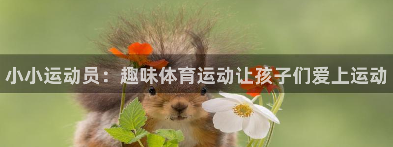 3377体育网页登录入口：小小运动员：趣味体育运动让孩子们爱上运动
