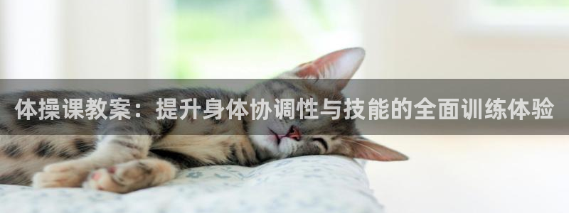 3377体育app下载安装：体操课教案：提升身体协调性与技能的全面训练体验