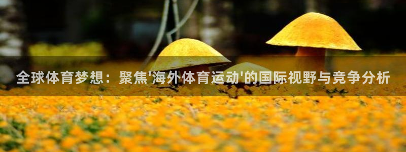 3377体育官方app下载：全球体育梦想：聚焦\'海外体育运动\'的国际视野与竞争分析