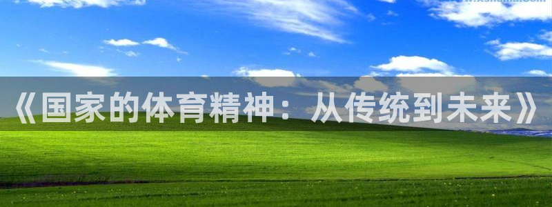 3377体育官网下载：《国家的体育精神：从传统到未来》