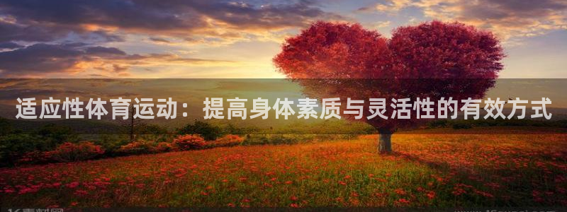 3377体育靠谱吗：适应性体育运动：提高身体素质与灵活性的有效方式