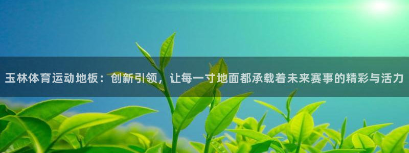 3377体育全网