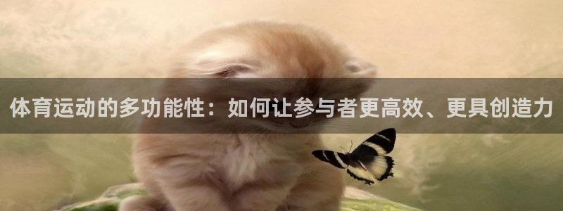 3377体育在线：体育运动的多功能性：如何让参与者更高效、更具创造力